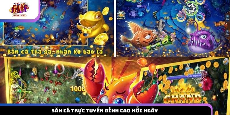 Săn cá trực tuyến đỉnh cao mỗi ngày