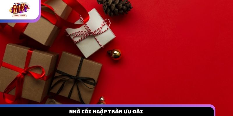 Nhà cái ngập tràn ưu đãi