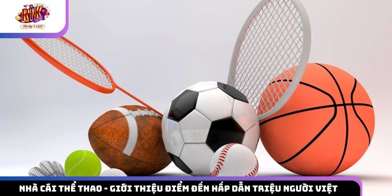 Nhà Cái Thể Thao – Giới Thiệu Điểm Đến Hấp Dẫn Triệu Người Việt